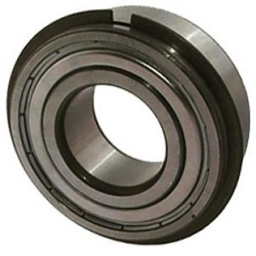 NTN 6018ZZNR/2A Ball Bearings