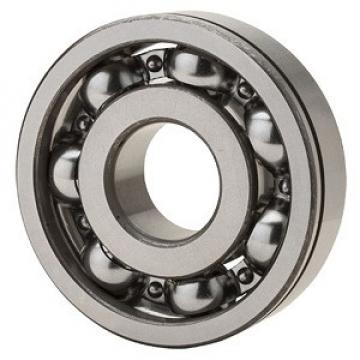 NTN Portugal 6006N Ball Bearings