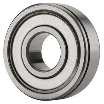 NTN 6018ZZN/2A Ball Bearings