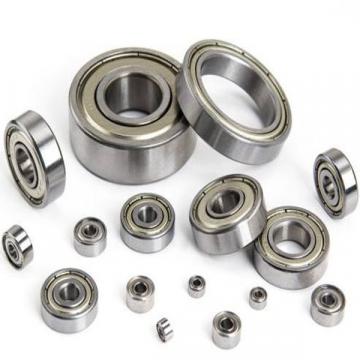 6007FT150ZZ, Argentina Single Row Radial Ball Bearing - Double Shielded